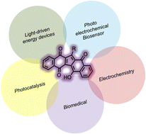 Graphical abstract: KuQuinones: a ten years tale of the new pentacyclic quinoid compound