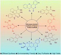 Graphical abstract: Recent developments on microwave-assisted organic synthesis of nitrogen- and oxygen-containing preferred heterocyclic scaffolds