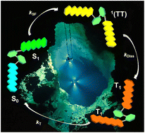 Graphical abstract: Control of intramolecular singlet fission in a pentacene dimer by hydrostatic pressure