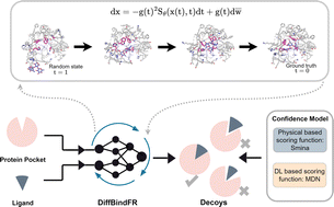 Graphical abstract: DiffBindFR: an SE(3) equivariant network for flexible protein–ligand docking