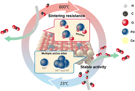 Graphical abstract: Sintering resistance of Pd single atoms on steam-modified ceria: deciphering the role of hydroxyl groups