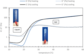 Graphical abstract: Injectable polyoxazoline grafted hyaluronic acid thermoresponsive hydrogels for biomedical applications