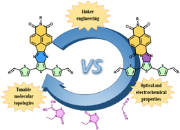 Graphical abstract: Tunable electroactive oligothiophene-naphthalimide semiconductors via end-capped engineering: cumulative effects beyond the linker