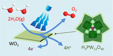 Graphical abstract: Gas-fed photoelectrochemical reactions sustained by phosphotungstic acid as an inorganic surface electrolyte