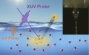 Graphical abstract: Extreme ultraviolet time-resolved photoelectron spectroscopy of adenine, adenosine and adenosine monophosphate in a liquid flat jet