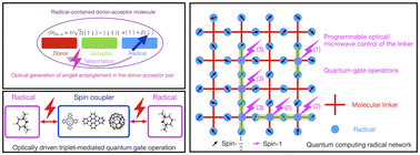 Graphical abstract: Stable organic radicals – a material platform for developing molecular quantum technologies