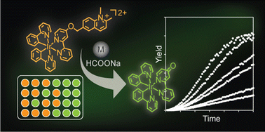 Graphical abstract: A ratiometric substrate for rapid evaluation of transfer hydrogenation efficiency in solution