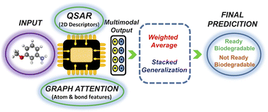 Graphical abstract: Hybrid intelligence for environmental pollution: biodegradability assessment of organic compounds through multimodal integration of graph attention networks and QSAR models
