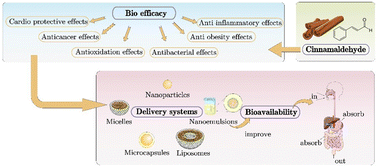 Graphical abstract: Biological fate, functional properties, and design strategies for oral delivery systems for cinnamaldehyde