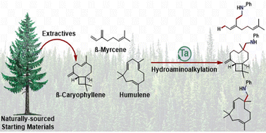 Graphical abstract: Exploiting natural complexity for substrate controlled regioselectivity and stereoselectivity in tantalum catalysed hydroaminoalkylation