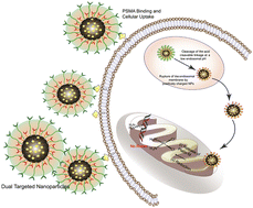 Graphical abstract: Cell specific mitochondria targeted metabolic alteration for precision medicine