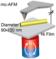 Graphical abstract: Chiral induction at the nanoscale and spin selectivity in electron transmission in chiral methylated BEDT-TTF derivatives