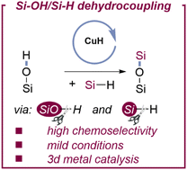 Graphical abstract: Copper-driven formation of siloxanes via dehydrocoupling between hydrosilanes and silanols