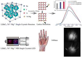 Graphical abstract: Mg2+-modified LiBaF3:Ni2+ perovskite single crystals with broadband long wavelength near-infrared emission for imaging human vascular structures