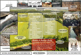 Graphical abstract: Metal contamination – a global environmental issue: sources, implications & advances in mitigation