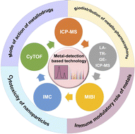 Graphical abstract: Metal-detection based techniques and their applications in metallobiology