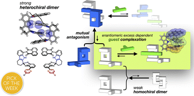 Graphical abstract: Mutually antagonistic molecular clips: symmetry-breaking non-covalent bonds at the chiral–nonchiral interface