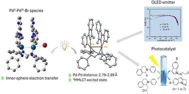 Graphical abstract: 3MMLCT excited states of luminescent binuclear PdII complexes: excited state inner-sphere electron-transfer reactions and application