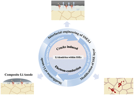 Graphical abstract: Interfacial engineering of suppressing Li dendrite growth in all solid-state Li-metal batteries