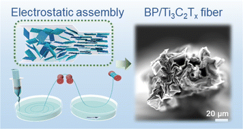 Graphical abstract: Structurally oriented black phosphorus/MXene heterostructured fibers for flexible supercapacitors with enhanced ion transport and capacitive charge storage