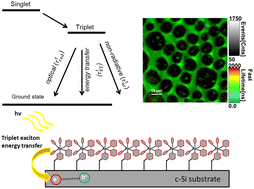 Graphical abstract: Efficient triplet exciton phosphorescence quenching from a rhenium monolayer on silicon