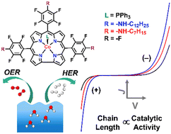 Graphical abstract: Exploring the role of polymer interactions during water electrolysis under basic conditions with bifunctional cobalt corroles