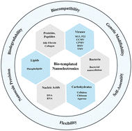 Graphical abstract: From biology to circuitry: a review of DNA and other biomaterials as templates for nanoelectronic systems