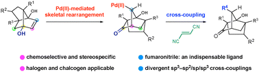 Graphical abstract: Remodelling of tricyclic carbon frameworks with a norbornene scaffold