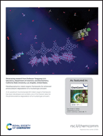 Graphical abstract: Back cover