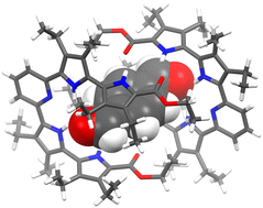 Graphical abstract: A self-assembled supramolecular capsule that cocrystallizes with 1,4-disubstituted benzene derivatives