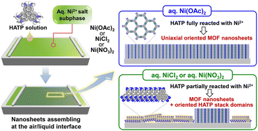 Graphical abstract: Influence of varying the nickel salt aqueous subphase on the formation of Ni3(hexaiminotriphenylene)2 metal–organic framework nanosheets at the air/liquid interface