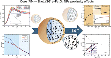 Graphical abstract: Proximity effects, exchange bias and magnetic relaxation in γ-Fe2O3 nanoparticles