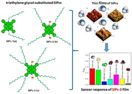 Graphical abstract: Effect of the number and position of substituents on the orientation and sensor response of triethylene glycol-substituted silicon phthalocyanine films to ammonia
