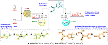Graphical abstract: Substituted cyclopropanols via sequential cyclopropanation and oxidative hydrolysis of vinylboronates