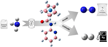 Graphical abstract: Electrochemical ammonia oxidation with a homogeneous molecular redox mediator
