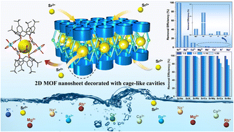 Graphical abstract: Highly efficient and selective Sr2+ capture using robust two-dimensional MOF nanosheets decorated with cage-like cavities