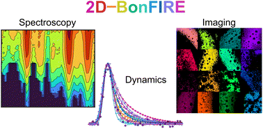Graphical abstract: Two-dimensional bond-selective fluorescence spectroscopy: violations of the resonance condition, vibrational cooling rate dispersion, and super-multiplex imaging