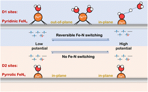 Graphical abstract: Deciphering potential-driven dynamics in Fe–N–C catalysts: ab initio insights into Fe–N switching and spin-state transition