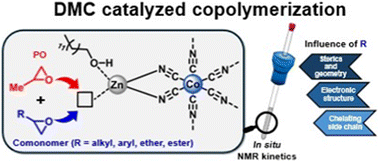 Graphical abstract: Double metal cyanide (DMC) catalysis: detailed in situ NMR kinetics studies on the copolymerization of propylene oxide with substituted epoxides