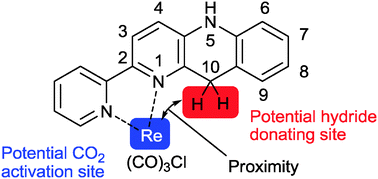 Graphical abstract: Reactivity of a fac-ReCl(α-diimine)(CO)3 complex with an NAD+ model ligand toward CO2 reduction