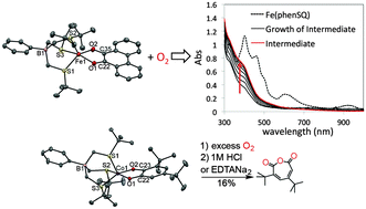 Graphical abstract: Five-coordinate MII-semiquinonate (M = Fe, Mn, Co) complexes: reactivity models of the catechol dioxygenases