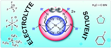 Graphical abstract: Solvent and electrolyte effects on Ni(PR2NR′2)2-catalyzed electrochemical oxidation of hydrogen