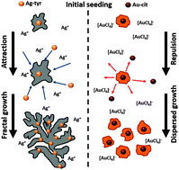 Graphical abstract: Nanoparticle–electrode collisions as a dynamic seeding route for the growth of metallic nanostructures