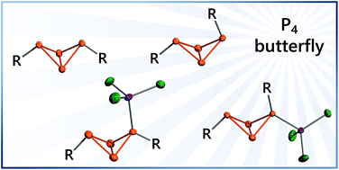 Graphical abstract: Synthetic strategies to bicyclic tetraphosphanes using P1, P2 and P4 building blocks