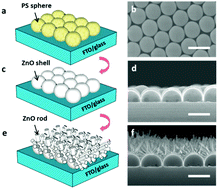 Graphical abstract: Realizing omnidirectional light harvesting by employing hierarchical architecture for dye sensitized solar cells