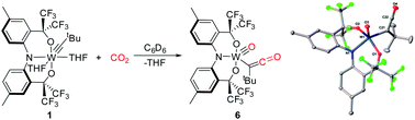 Graphical abstract: Carbon dioxide cleavage across a tungsten-alkylidyne bearing a trianionic pincer-type ligand