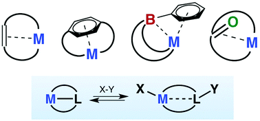 Graphical abstract: Metal–ligand cooperation at tethered π-ligands