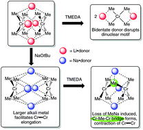 Graphical abstract: Contrasting the group 6 metal–metal bonding in sodium dichromate(ii) and sodium dimolybdate(ii) polymethyl complexes: synthetic, X-ray crystallographic and theoretical studies