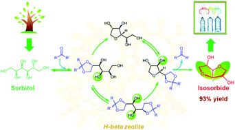 Graphical abstract: A strategy of ketalization for the catalytic selective dehydration of biomass-based polyols over H-beta zeolite