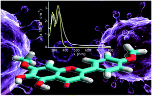 Graphical abstract: Iron(iii) coordination properties of ladanein, a flavone lead with a broad-spectrum antiviral activity